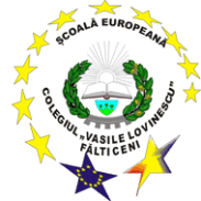 "Vasile Lovinescu" High School - Fălticeni