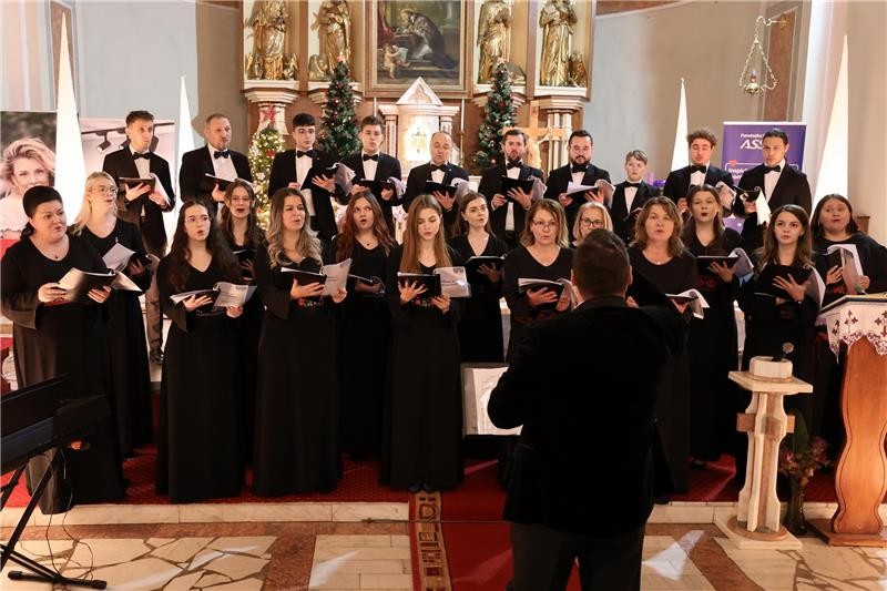 Strangere_de_fonduri_pentru_renovarea_salii_de_spectacole_de_la_Colegiul_de_Arta_Ciprian_Porumbescu_Suceava_Fundatia_Umanitara_ASSIST