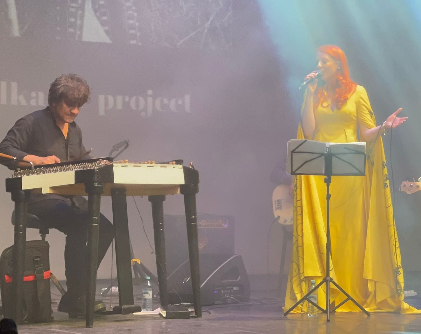 Concert_Caritabil_Saftita_Fundatia_Umanitara_ASSIST